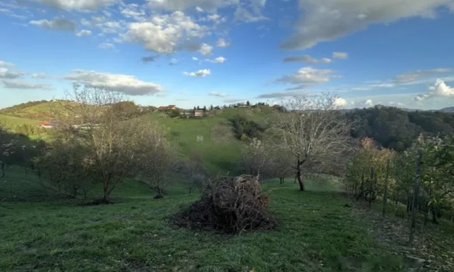 Недвижимость Дом на Градища: 7