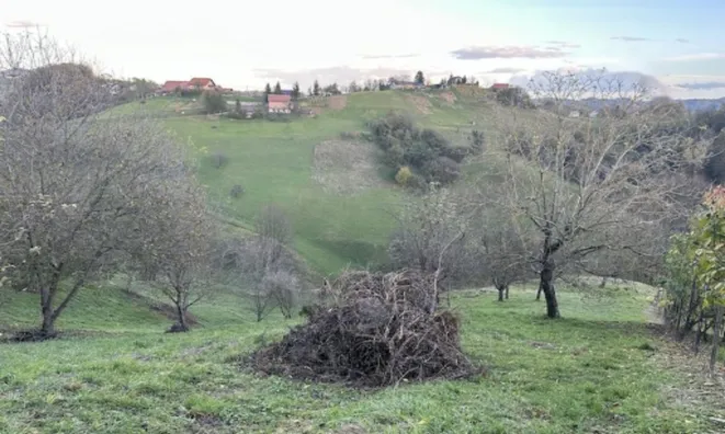 Недвижимость Дом на Градища: 11