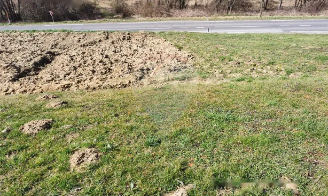 Недвижимость Дом, Иваньковци: 23