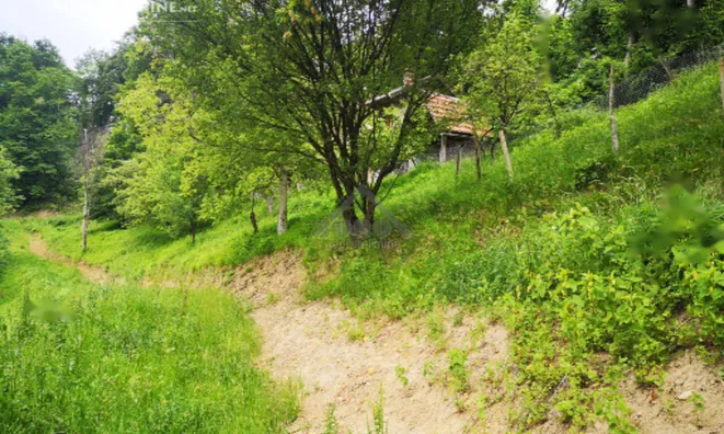 Недвижимость Дом, Маколе, Стари Град: 6