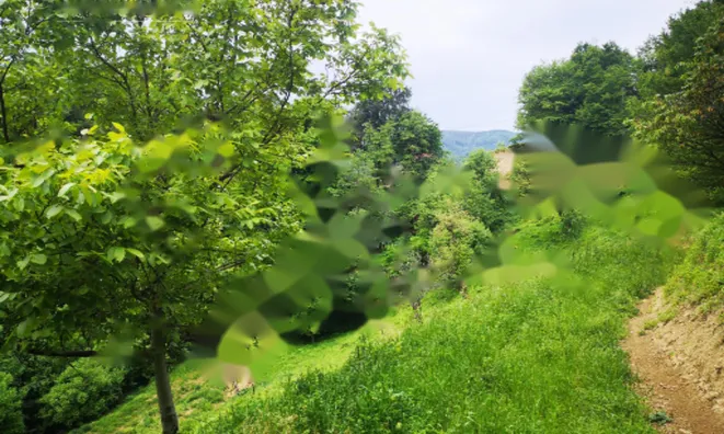 Недвижимость Дом, Маколе, Стари Град: 7