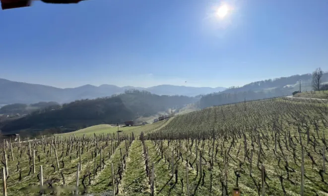 Недвижимость Дом в Бистрице-Сотле: 19