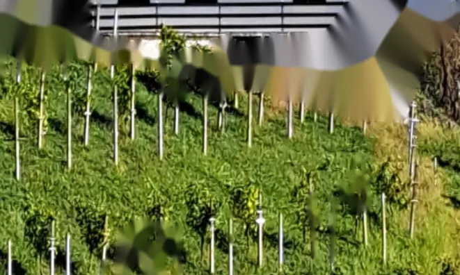 Недвижимость Дом, Грушковец: 3