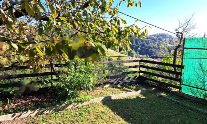 Недвижимость Дом, Грушковец: 6