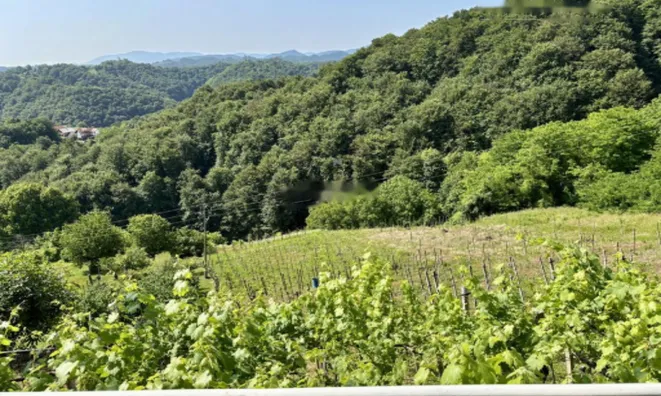 Недвижимость Дом, Бельский Врх: 6