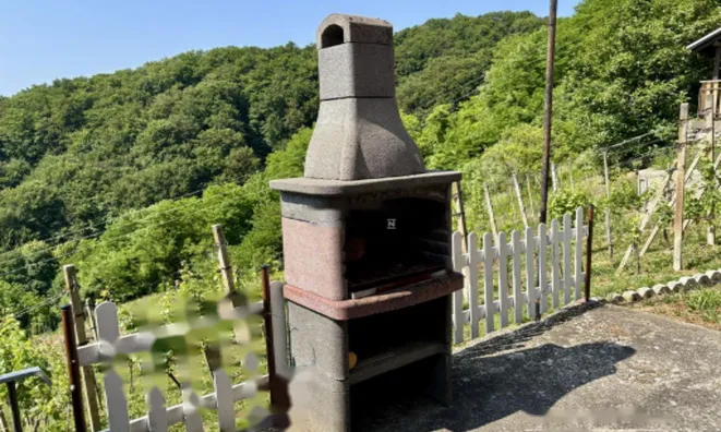 Недвижимость Дом, Бельский Врх: 7