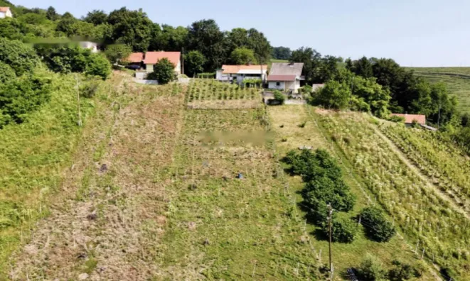 Недвижимость Дом, Бельский Врх: 9