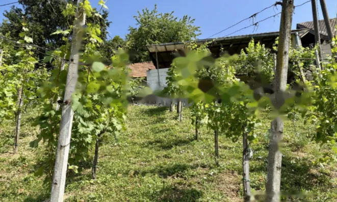 Недвижимость Дом, Бельский Врх: 18