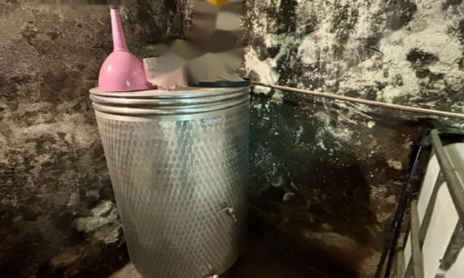 Недвижимость Дом, Бельский Врх: 19