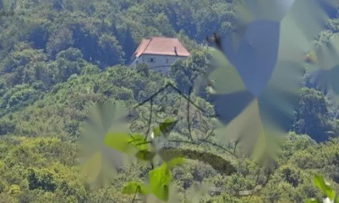 Недвижимость Дом Подсреда: 10