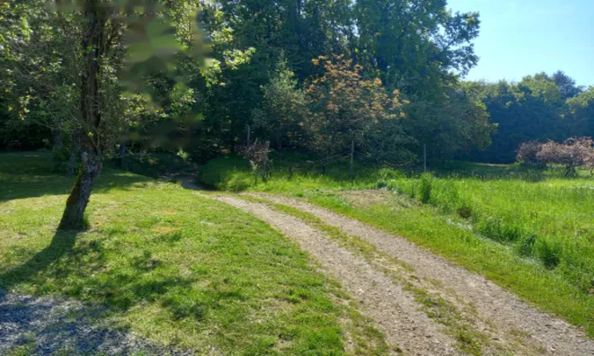 Недвижимость Дом, Мощанци: 5