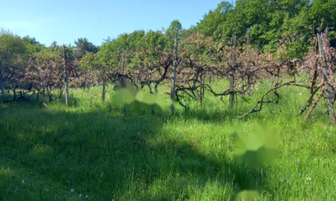 Недвижимость Дом, Мощанци: 6