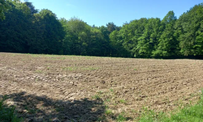 Недвижимость Дом, Мощанци: 7