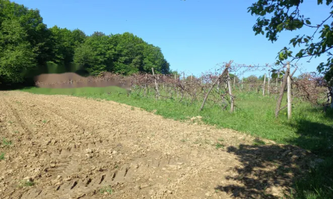 Недвижимость Дом, Мощанци: 8