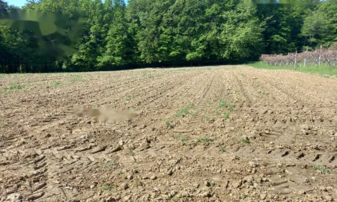 Недвижимость Дом, Мощанци: 9