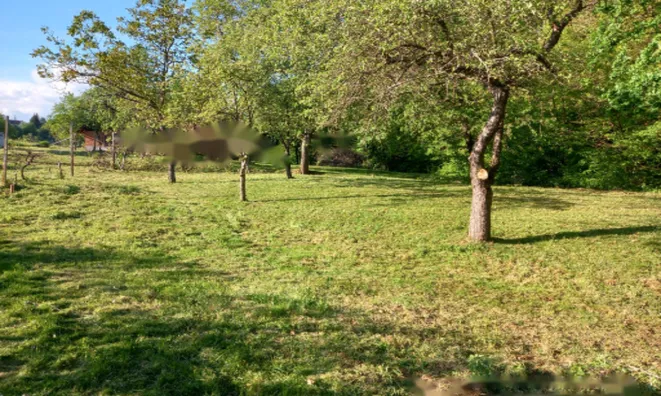 Недвижимость Дом, Мощанци: 10