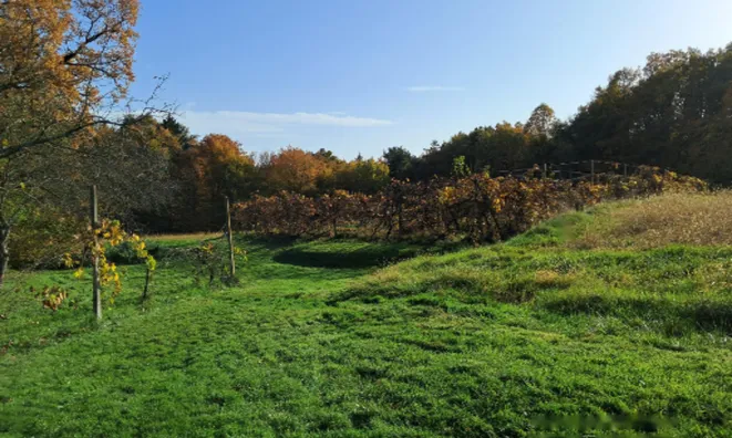 Недвижимость Дом, Мощанци: 11