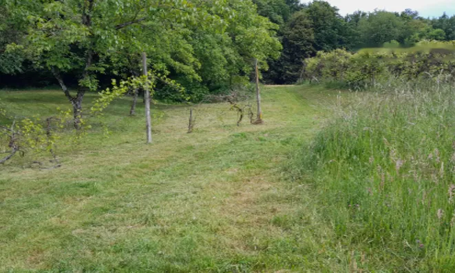 Недвижимость Дом, Мощанци: 12