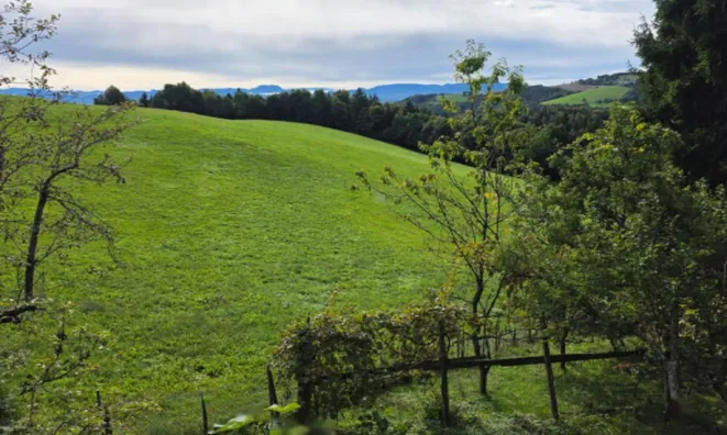 Недвижимость Дом, Планица: 4