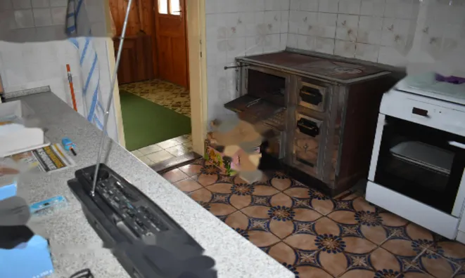 Недвижимость Дом, Франковцы: 8