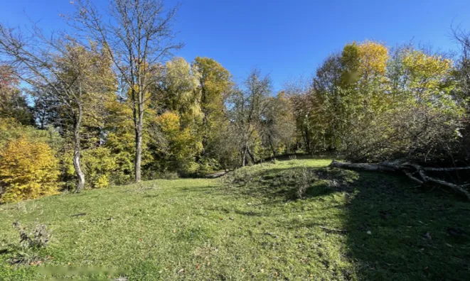 Недвижимость Дом, Чершак.: 8