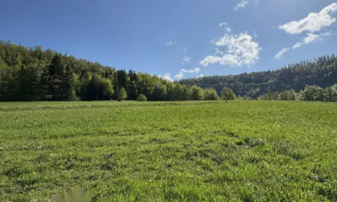 Недвижимость Усадьба Немшки Ровт: 6