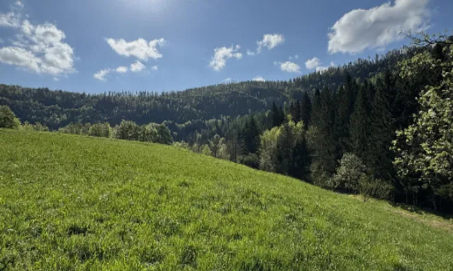 Недвижимость Усадьба Немшки Ровт: 8