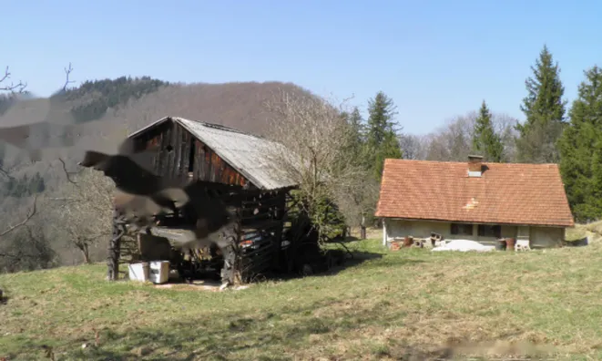 Недвижимость Поместье и ферма Марии Река: 1