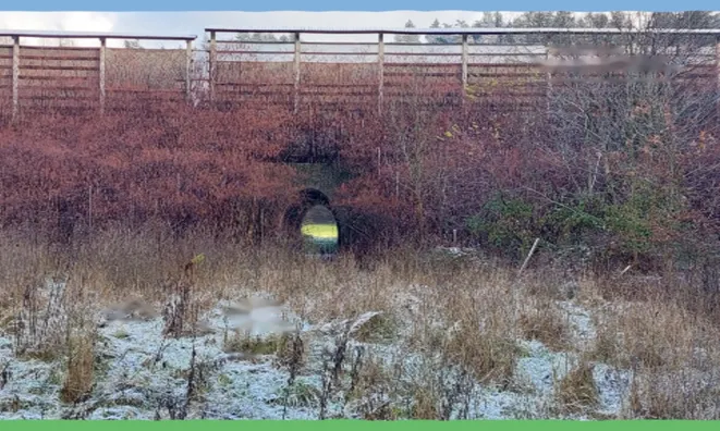 Недвижимость Участок, ферма Накло.: 11