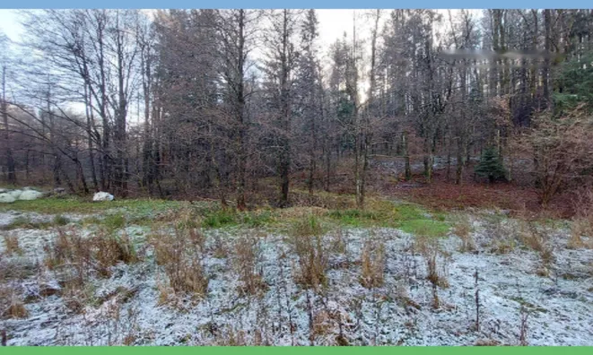 Недвижимость Участок, ферма Накло.: 13