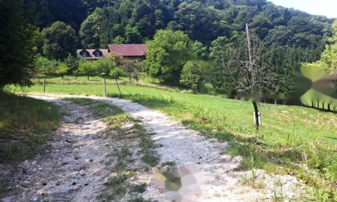 Недвижимость Поместье, ферма Нарапле: 4