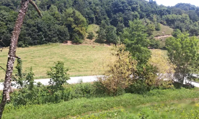 Недвижимость Поместье, ферма Нарапле: 18