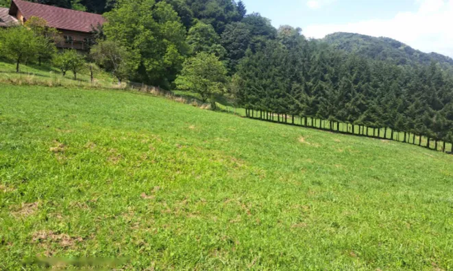 Недвижимость Поместье, ферма Нарапле: 19