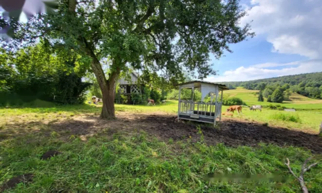 Недвижимость Поместье 'Под Горянцами': 9