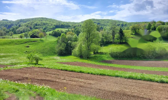 Недвижимость Поместье 'Под Горянцами': 10