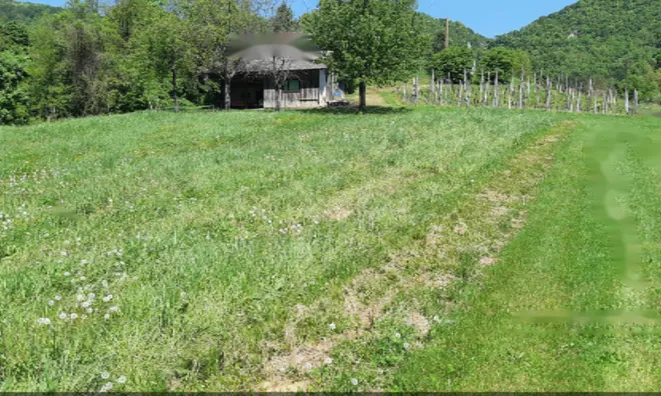 Недвижимость Усадьба, ферма Орехи в Безельском.: 19