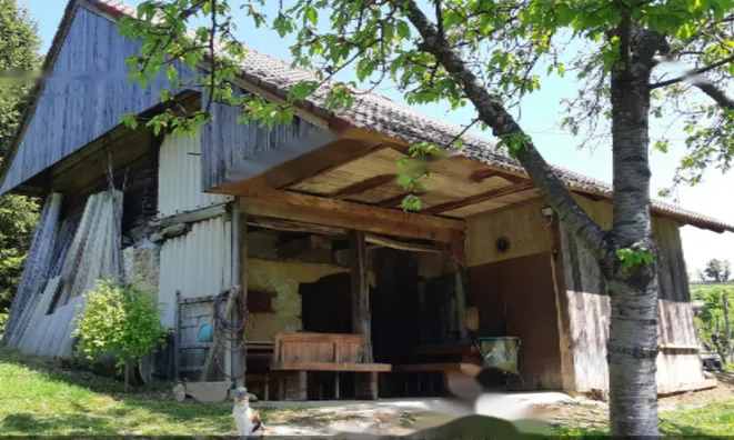 Недвижимость Усадьба, ферма Орехи в Безельском.: 23