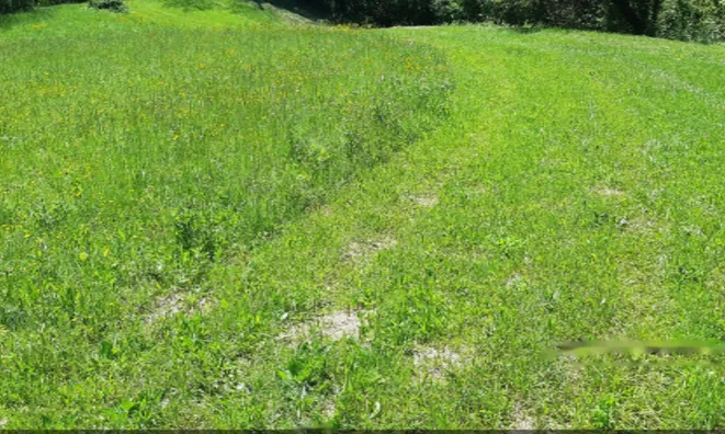 Недвижимость Усадьба, ферма Орехи в Безельском.: 26