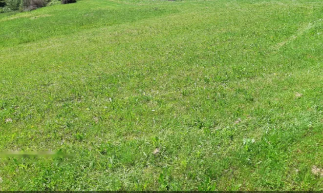 Недвижимость Усадьба, ферма Орехи в Безельском.: 28