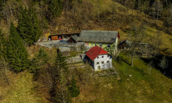 Недвижимость Усадьба, ферма Осойница.: 12