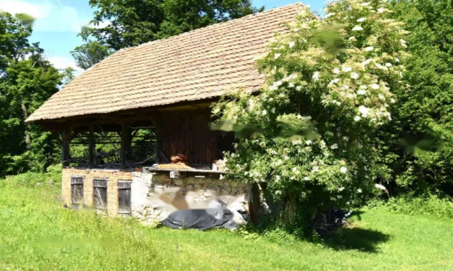 Недвижимость Усадьба Горная Вершина, Планина при Севници: 14