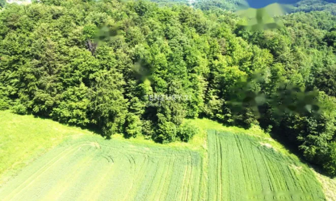 Недвижимость Усадьба Горная Вершина, Планина при Севници: 23