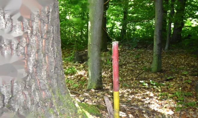 Недвижимость Усадьба Горная Вершина, Планина при Севници: 24