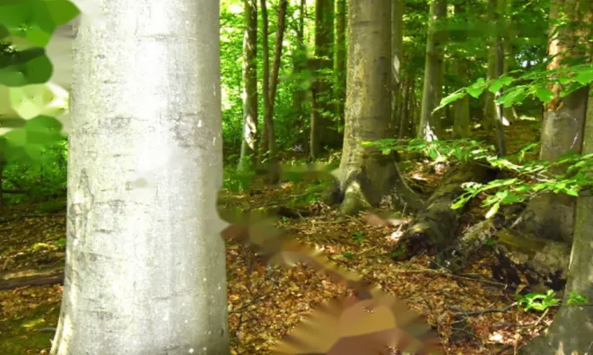 Недвижимость Усадьба Горная Вершина, Планина при Севници: 26