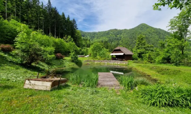 Недвижимость Усадьба, ферма Подкрай при Межице, Межица: 1