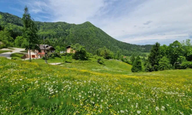 Недвижимость Усадьба, ферма Подкрай при Межице, Межица: 3