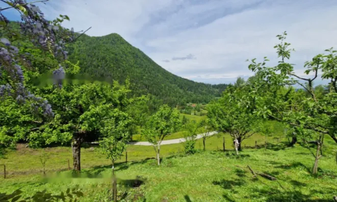 Недвижимость Усадьба, ферма Подкрай при Межице, Межица: 11