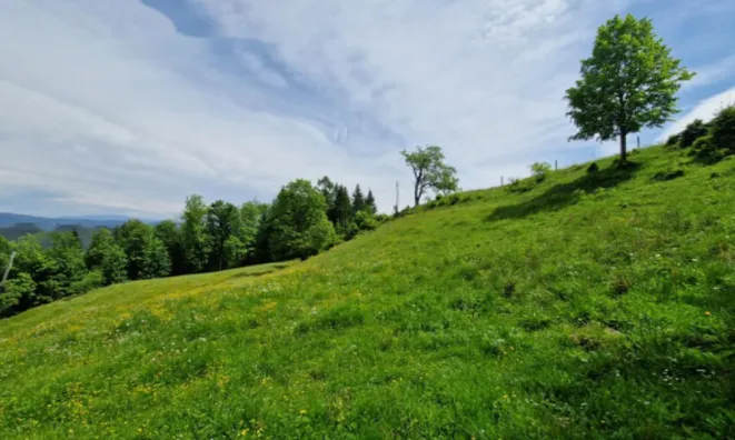 Недвижимость Усадьба, ферма Подкрай при Межице, Межица: 15
