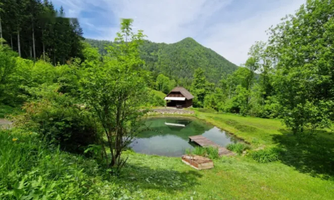 Недвижимость Усадьба, ферма Подкрай при Межице, Межица: 18