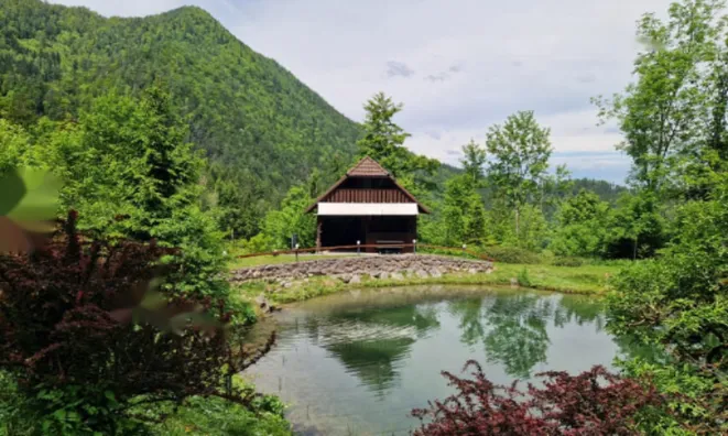 Недвижимость Усадьба, ферма Подкрай при Межице, Межица: 20